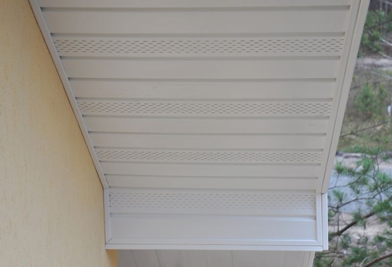 Fascia Painting in Longmont, CO