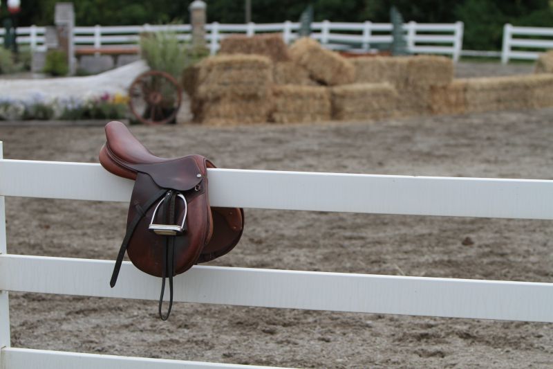 Horse Fence Painting in Waco, TX