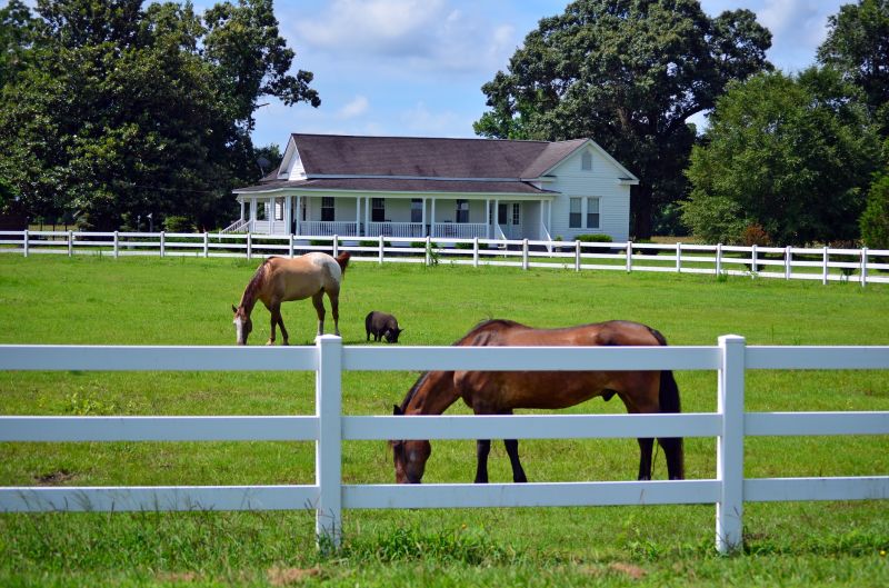 Horse Fence Painting in Waco, TX