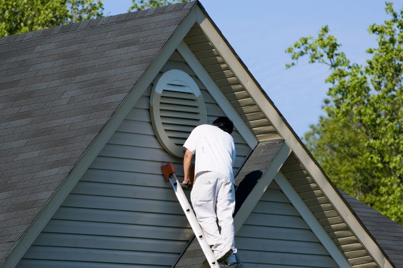 Vinyl Siding Painting in Longmont, CO