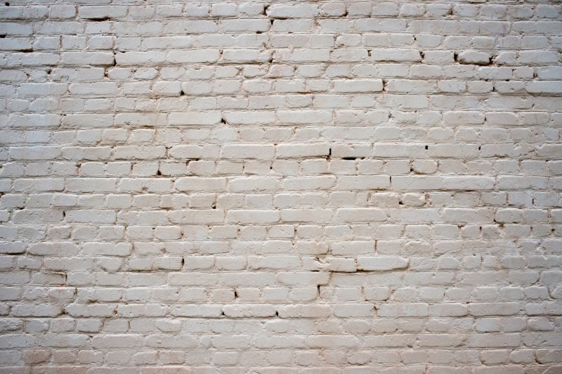 House Limewashing in Saint Petersburg, FL