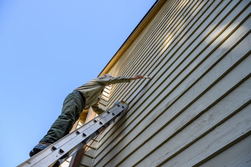 House Siding Painting in Longmont, CO