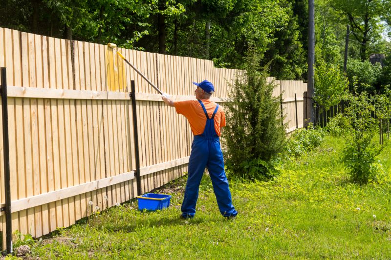 Wire Fence Painting in Waco, TX